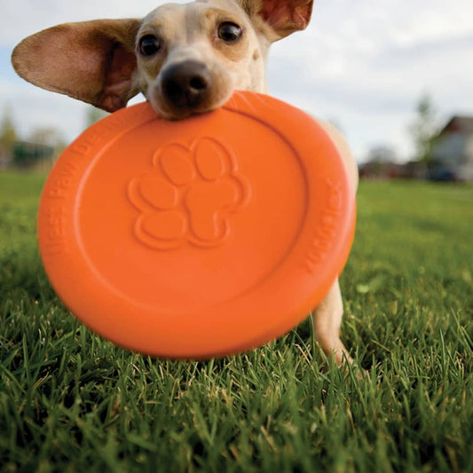 Zogoflex Dog Frisbee Zisc Size L 1937 - Thomas 'Cocky' Hunter