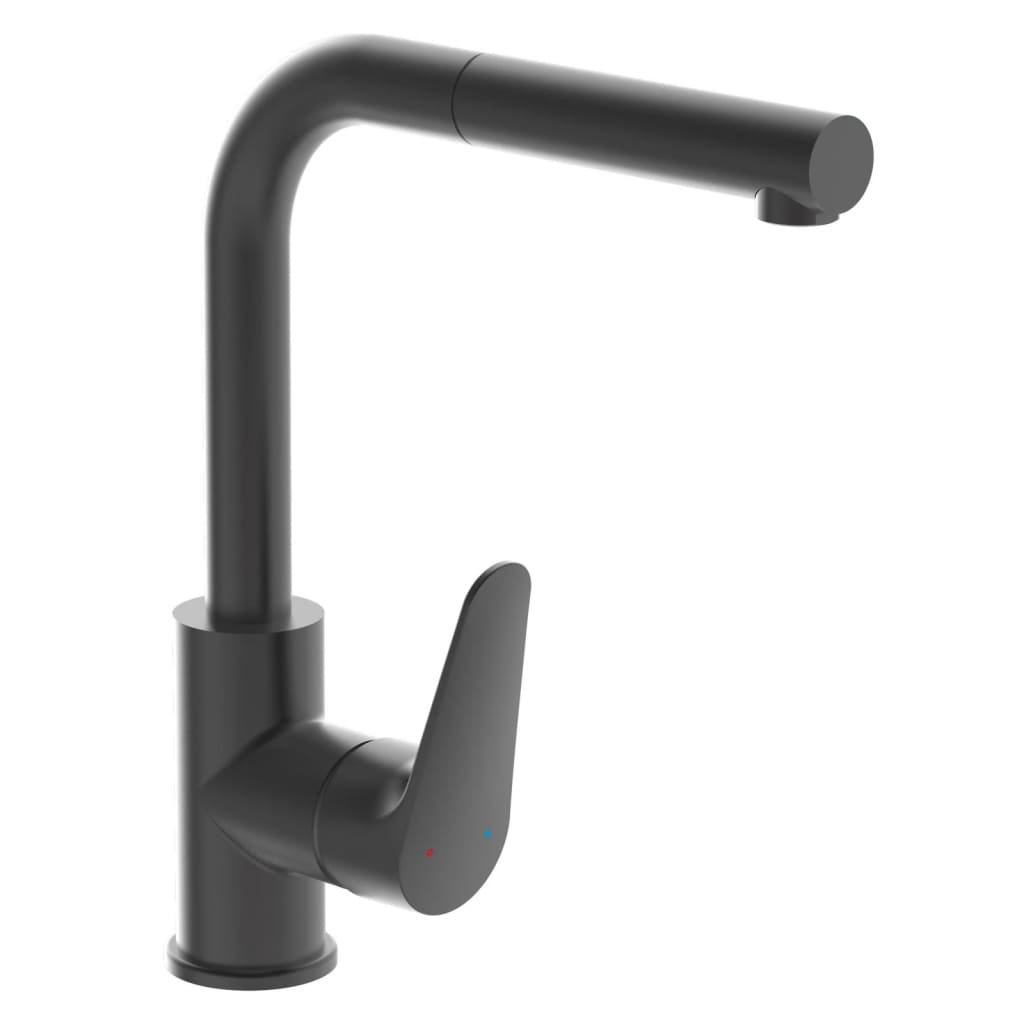 Schütte Kitchen Mixer Tap With Pull-Out Spout Florida Matte Graphite - Thomas 'Cocky' Hunter