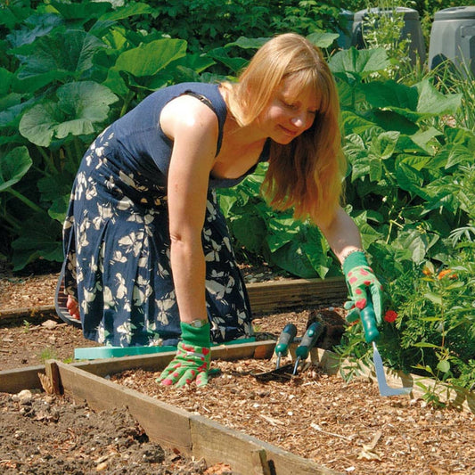 Draper Tools Garden Trowel. Hand Fork & Crack Weeder Set 27436 - Thomas 'Cocky' Hunter