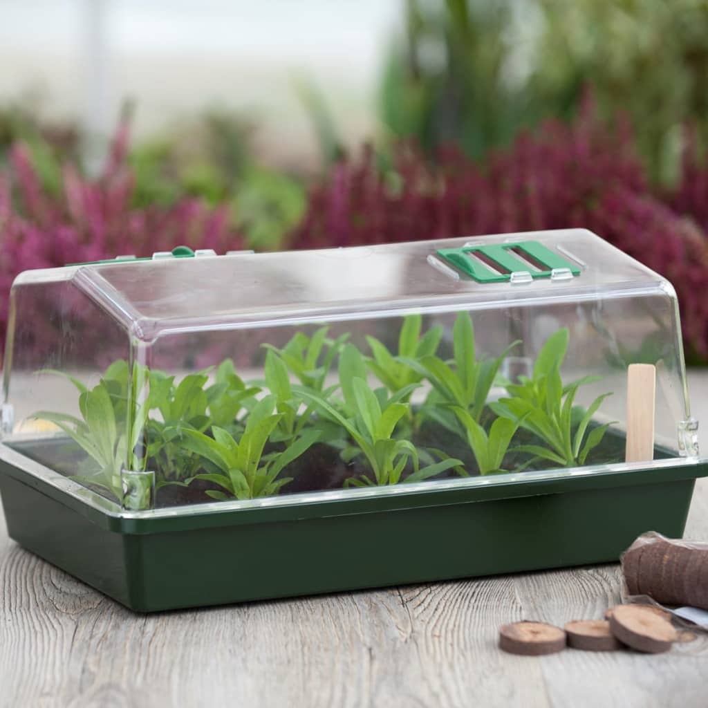 Nature 200 Pieces Propagator Start Kit - Thomas 'Cocky' Hunter