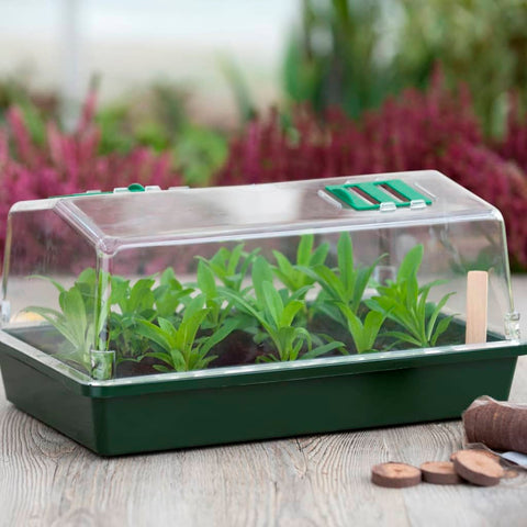 Nature 200 Pieces Propagator Start Kit - Thomas 'Cocky' Hunter