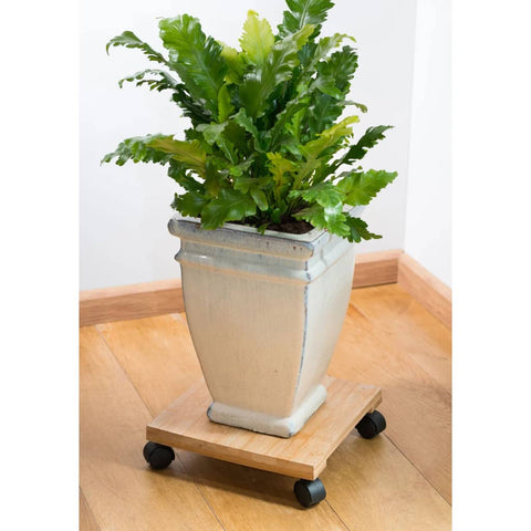 Nature Plant Trolley 30X30 Cm Brown Bpc - Thomas 'Cocky' Hunter