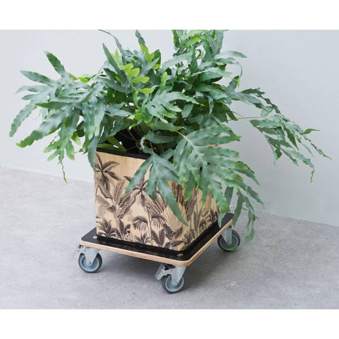 Nature Plant Trolley 38X38 Cm Black Wood - Thomas 'Cocky' Hunter