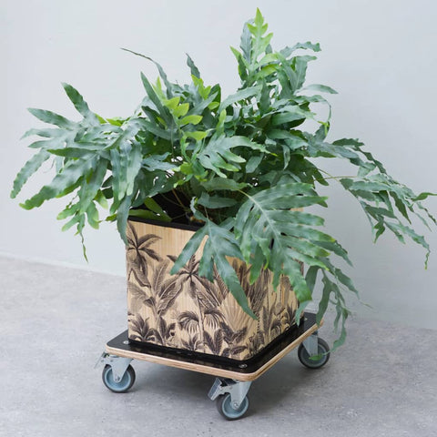 Nature Plant Trolley 38X38 Cm Black Wood - Thomas 'Cocky' Hunter