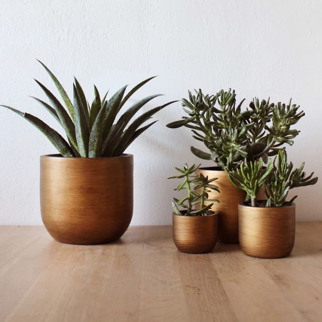 Capi 4 Piece Planter Set Lux Retro Gold - Thomas 'Cocky' Hunter