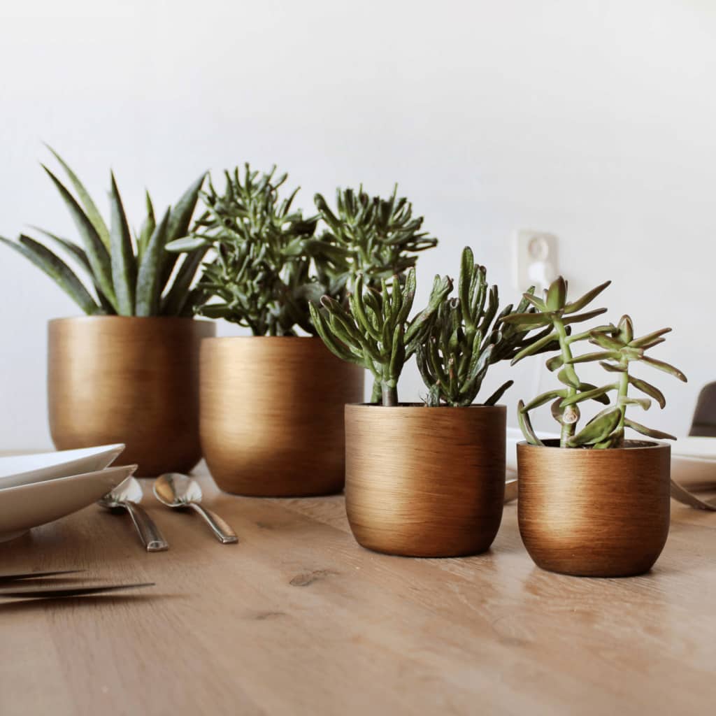 Capi 4 Piece Planter Set Lux Retro Gold - Thomas 'Cocky' Hunter