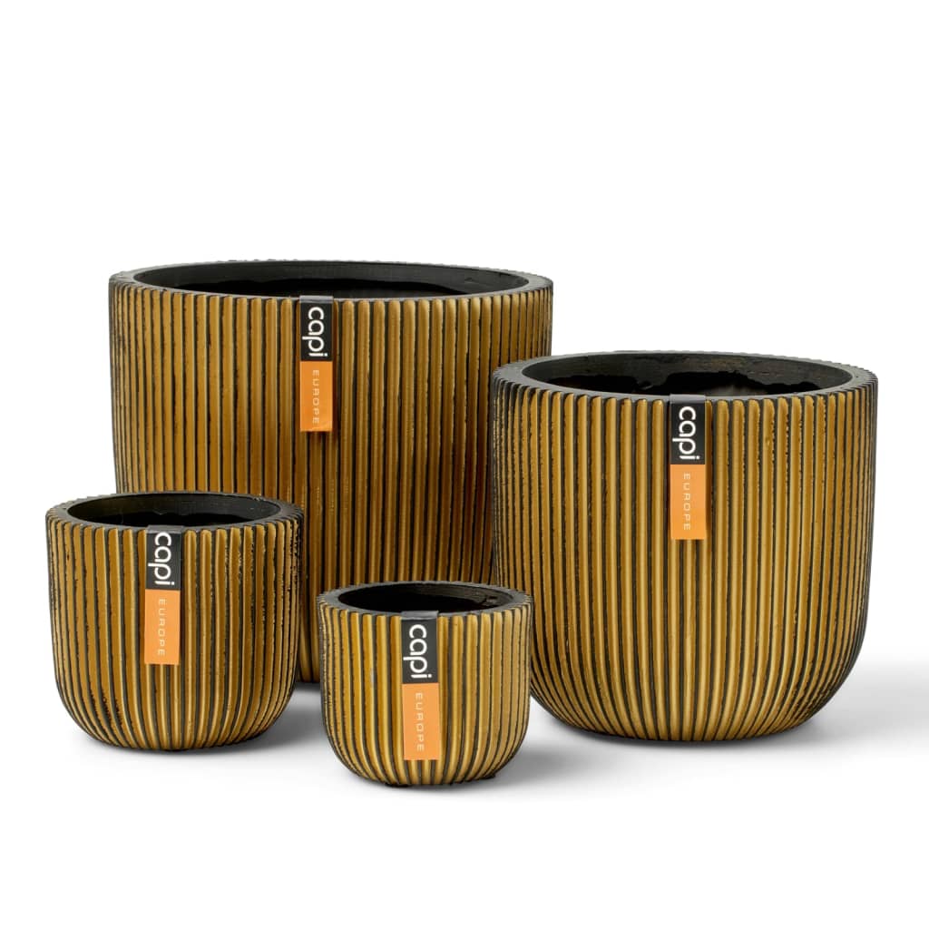 Capi 4 Piece Planter Set Groove Gold - Thomas 'Cocky' Hunter