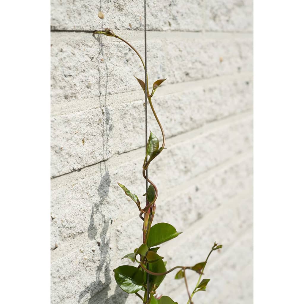 Nature Wire Trellis Sets For Climbing Plants 2 Pcs - Thomas 'Cocky' Hunter