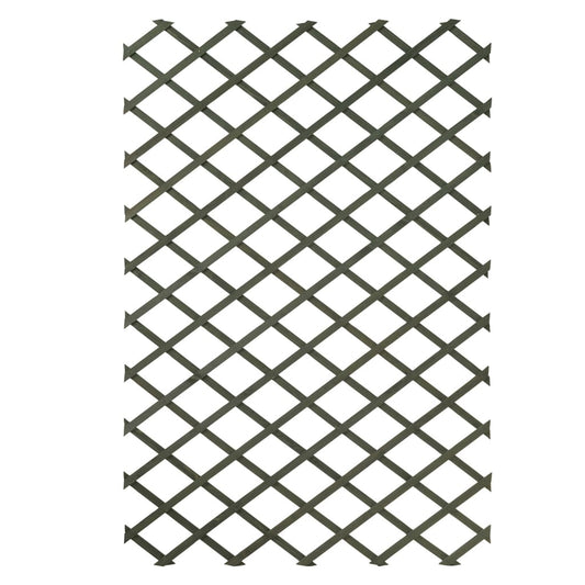 Nature 2 Pcs Garden Trellises 100X200 Cm Wood Green - Thomas 'Cocky' Hunter