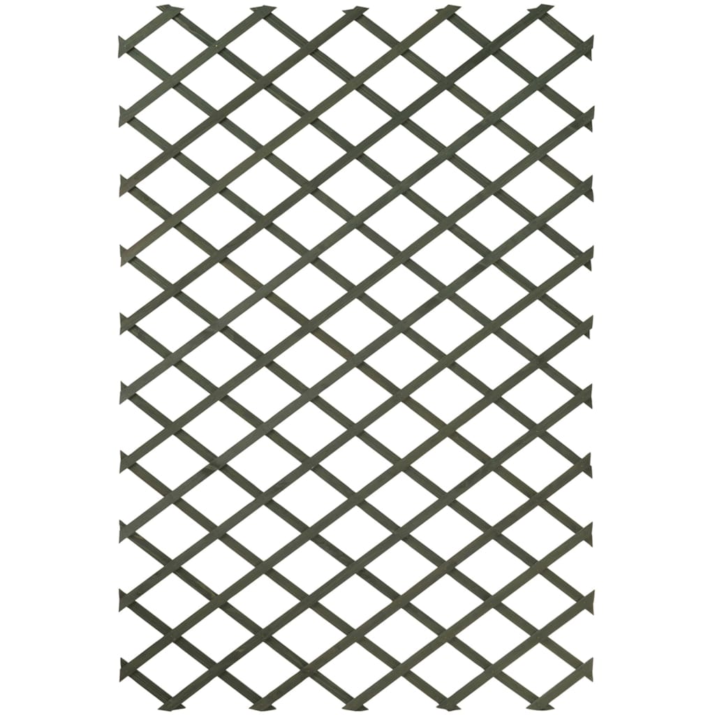 Nature 2 Pcs Garden Trellises Wood Green 50X150 Cm - Thomas 'Cocky' Hunter