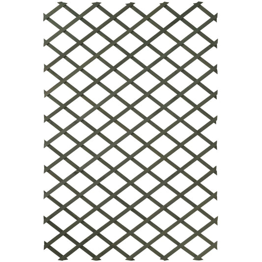 Nature 2 Pcs Garden Trellises Wood Green 50X150 Cm - Thomas 'Cocky' Hunter