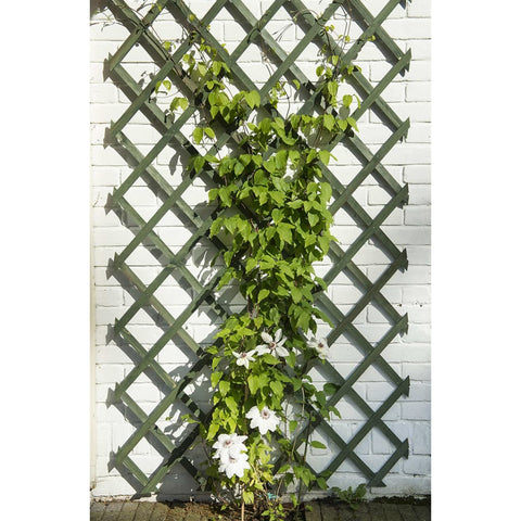 Nature 2 Pcs Garden Trellises Wood Green 50X150 Cm - Thomas 'Cocky' Hunter